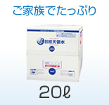 20L